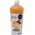 Syrup Pure Jengibre